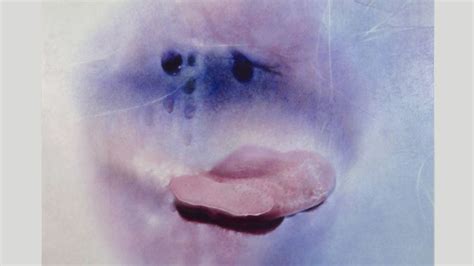 pictures of nude mature women|Sex positivity after 70: Marilyn Minter’s sensual photographs of ...